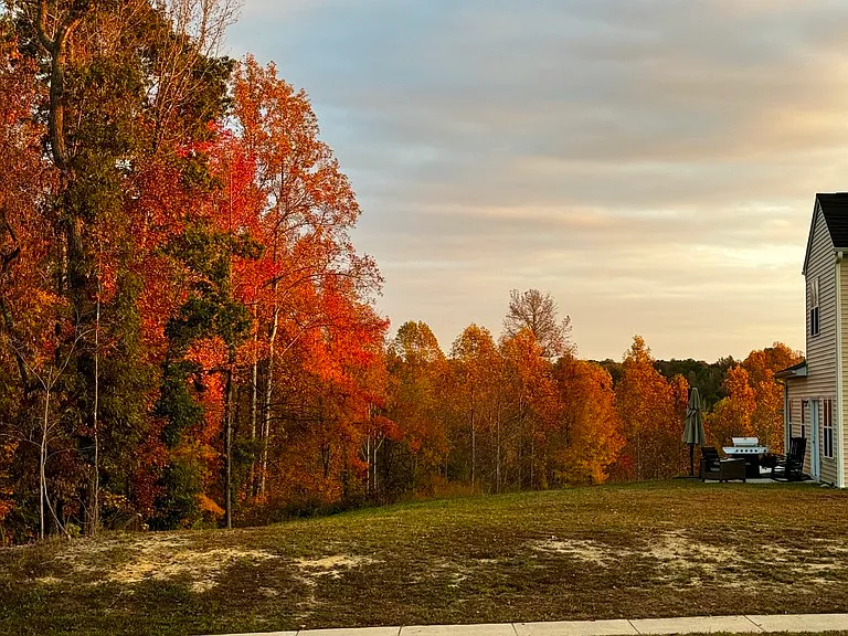 Backyard during autumn