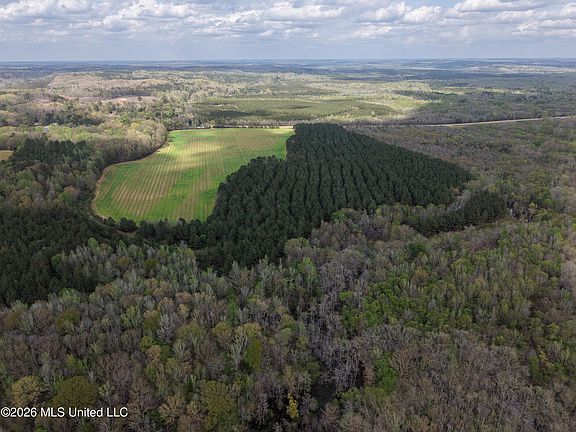 5th image of 50556 Greenwood Springs Rd