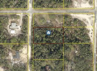 LOT 15 Alloy St, Webster, FL 33597