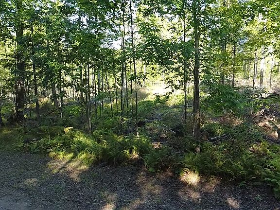 4th image of Tower Rd