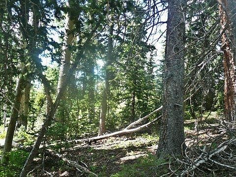 5th image of Cordova Pass County Rd #46
