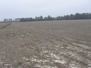 Shelley Ln, Nichols, SC 29581