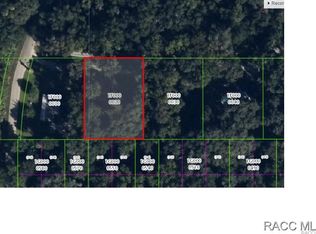 9226 E Sleepy Oak Ct, Inverness, FL 34453