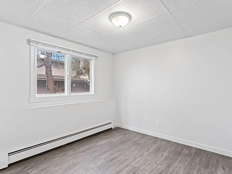 5310 Lionheart Dr — Photo 16