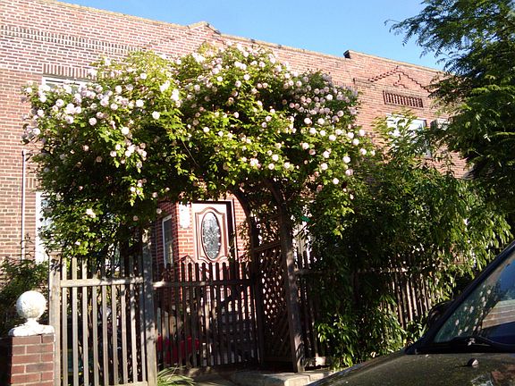 View from street