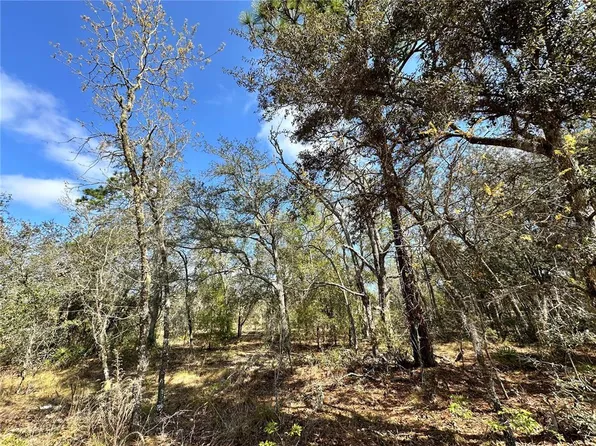 NE 68th Pl Lot 29, Bronson, FL 32621
