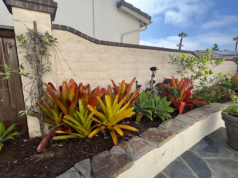 7437 Magellan St — Photo 36