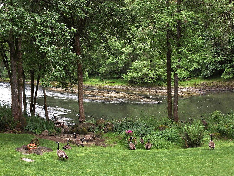 Back yard view