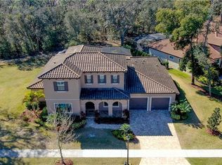 5313 Alafia Falls Dr, Lithia, FL 33547