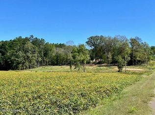 10696 Bobcat Ln #6, Olive Branch, MS 38654