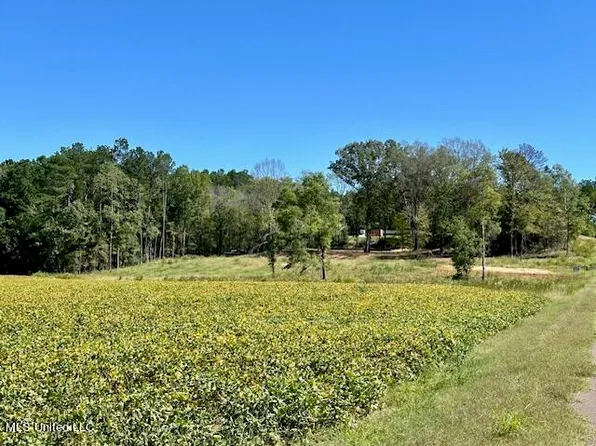 10696 Bobcat Ln #6, Olive Branch, MS 38654