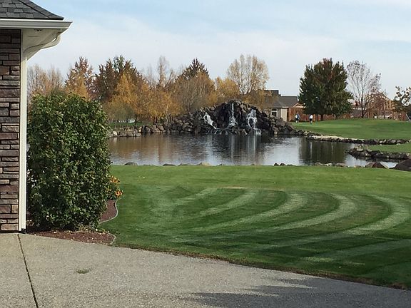 Pond & Waterfall in backyard