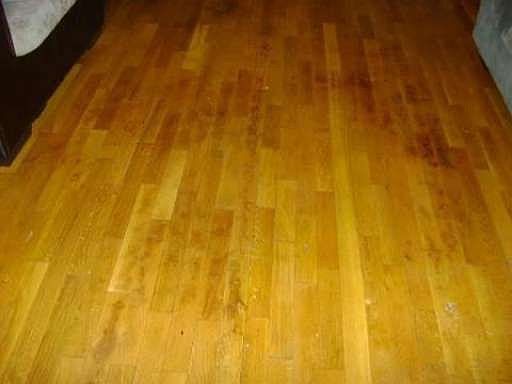 5th image of 4514 Marlow Dr
