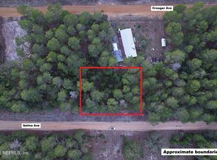 00 SELMA Avenue, Florahome, FL 32140