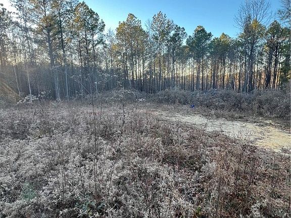 5th image of 16015 Sanford Rd