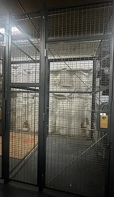 Rented by Compass | media 17