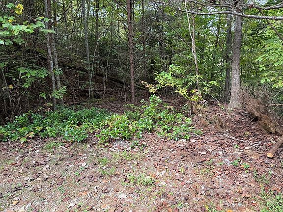 2nd image of 0 Reserve Est Lot 10