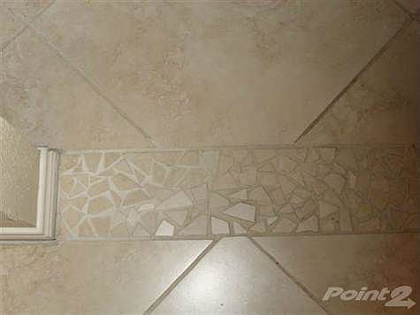 DSC00259 (Small)