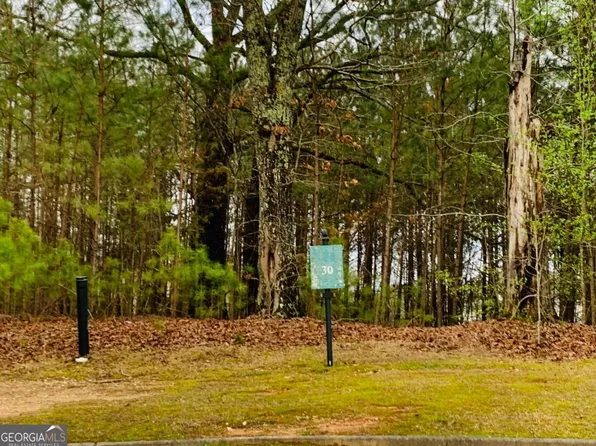 593 Decoupage Dr, South Fulton, GA 30213