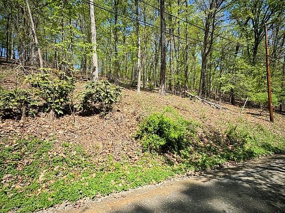 3rd image of 121 Timber Ln