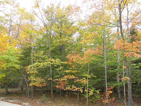 4th image of Fawn Ln