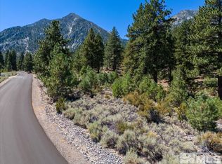 87 Five Creek Rd, Gardnerville, NV 89460