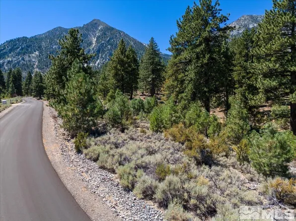 87 Five Creek Rd, Gardnerville, NV 89460