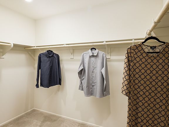 Walk-in closet at owner s