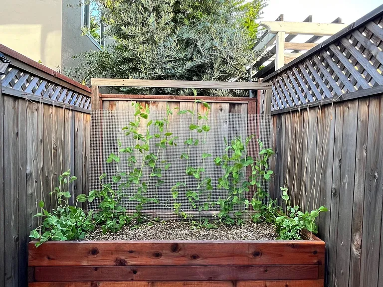 Vegetable Planter