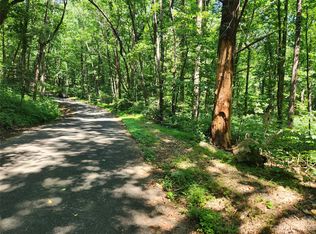 332 & 333 Bolt Rd, Lake Lure, NC 28746