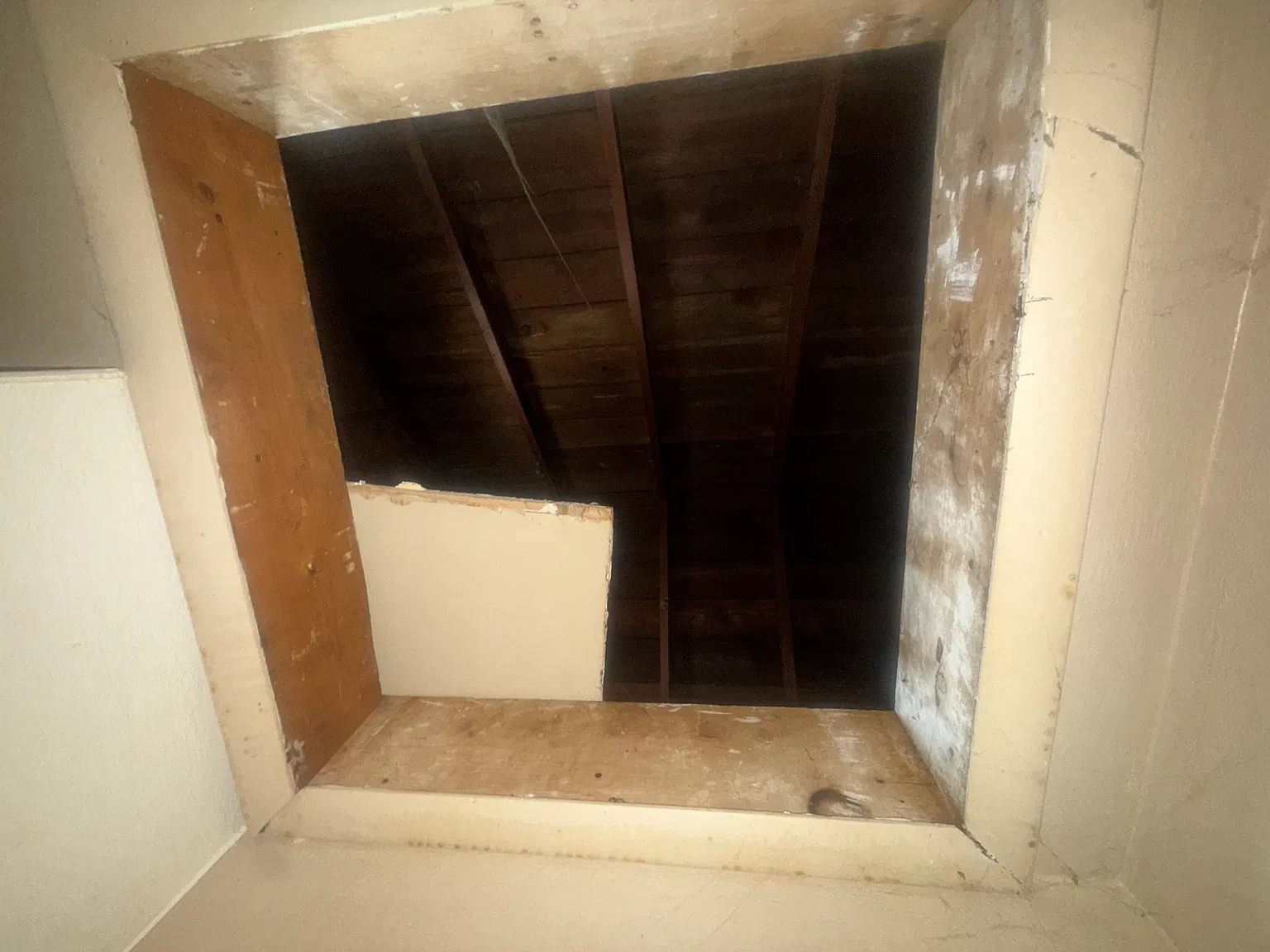 1 bed, 540 sqft, $950 — Photo 4