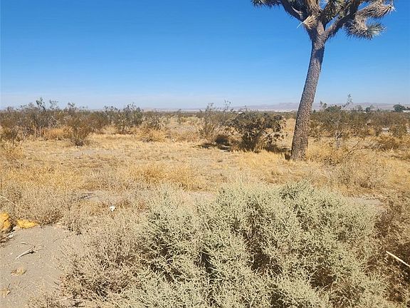 4th image of 20 Palmdale Rd