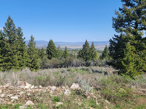 2nd image of 0 Bare Ground