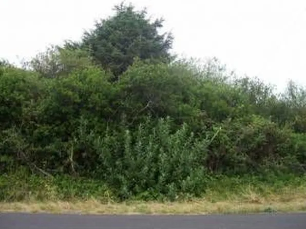 188 N Narwhal Loop NW, Ocean Shores, WA 98569