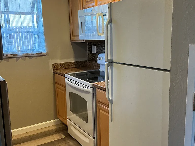 3142 Bristle Branch Dr #3142 — Photo 4