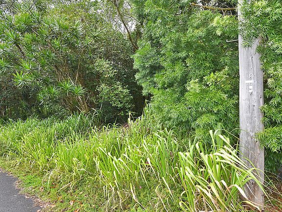 4th image of 15-1958 18th Ave Lot 117