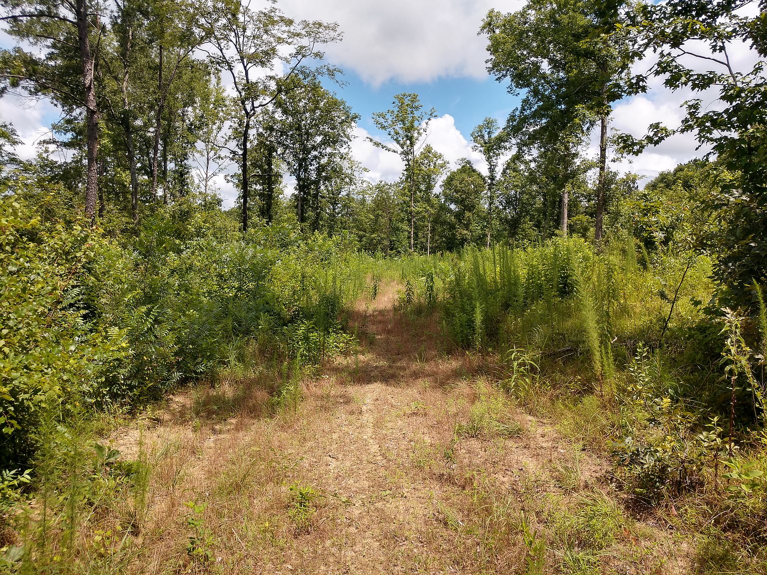 4953 County Road 23, Louin, MS 39338 Zillow