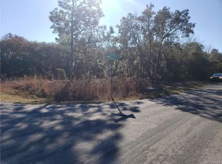 3851 N Longvalley Rd, Hernando, FL 34442