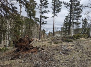 146 Waterfall Rd, Manitou Springs, CO 80829