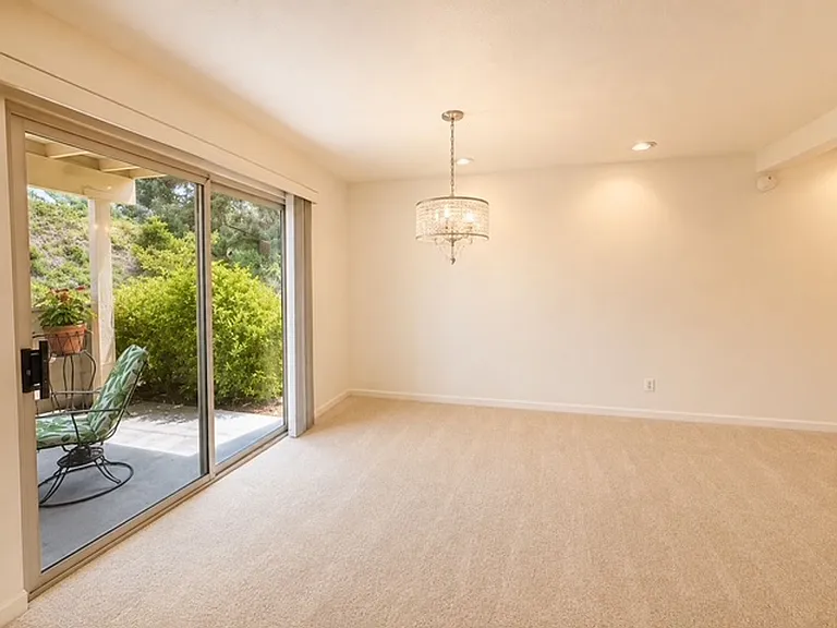 5451 Caminito Borde — Photo 10