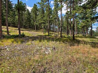 7303 Plowsher Way, Morrison, CO 80465