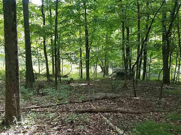 5th image of 36-44 Black Hawk Trail
