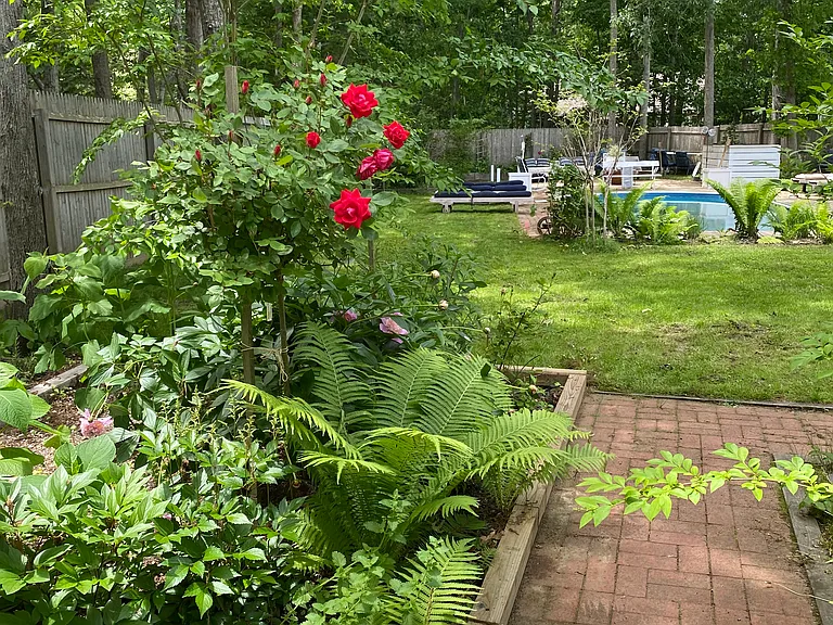 997 Springs Fireplace Rd — Photo 30