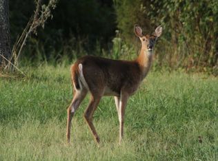 2297 Gun Club Rd, Jasper, IN 47546