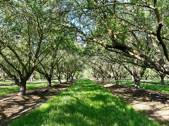 4th image of 0 Le Grand Rd