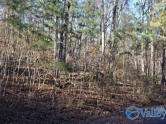 4th image of 404 Tomahawk Cir