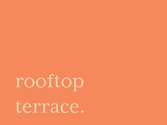 Rooftop Terrace with city views.