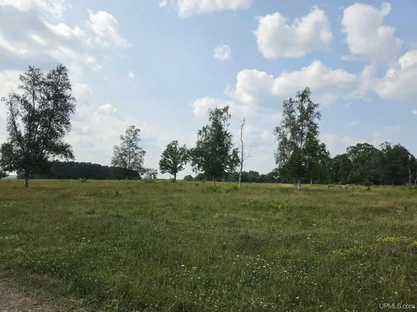 Tbd Hope Mine Rd, Crystal Falls, MI 49920