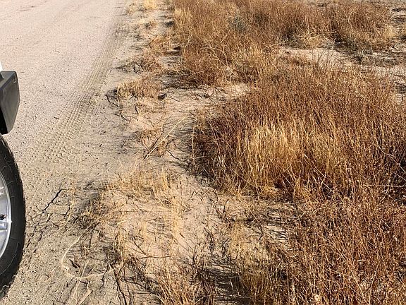 5th image of A 14 And 70 West Antelope Acres