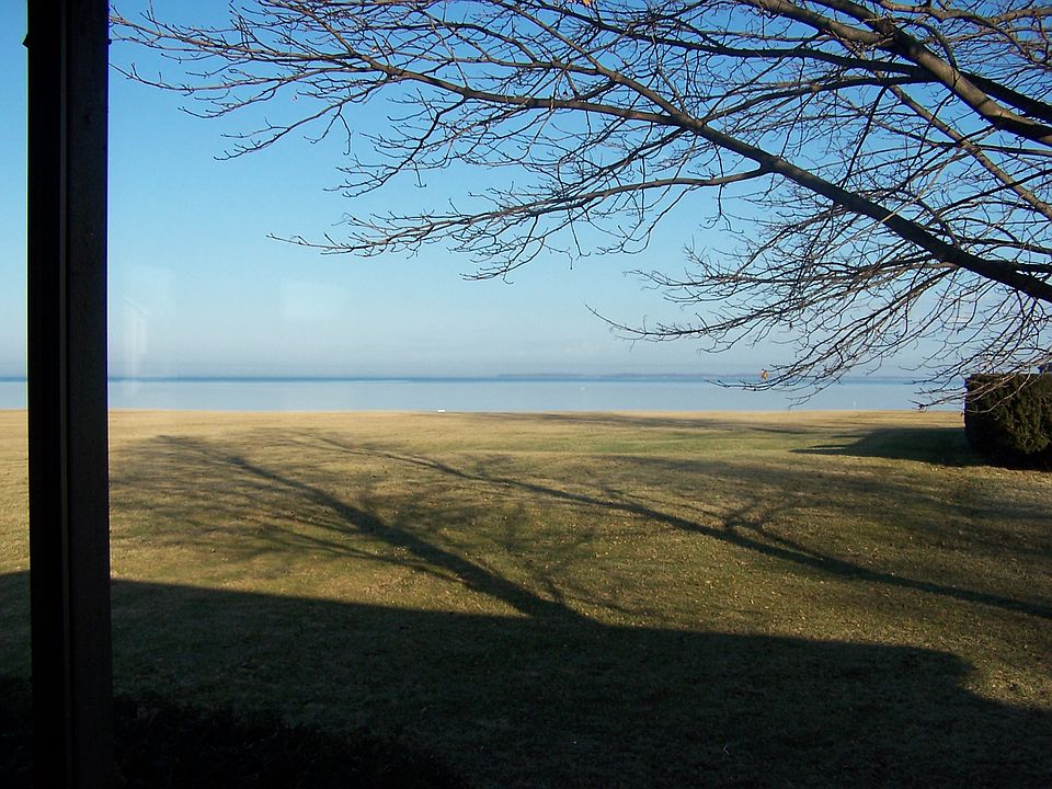 view from the back door